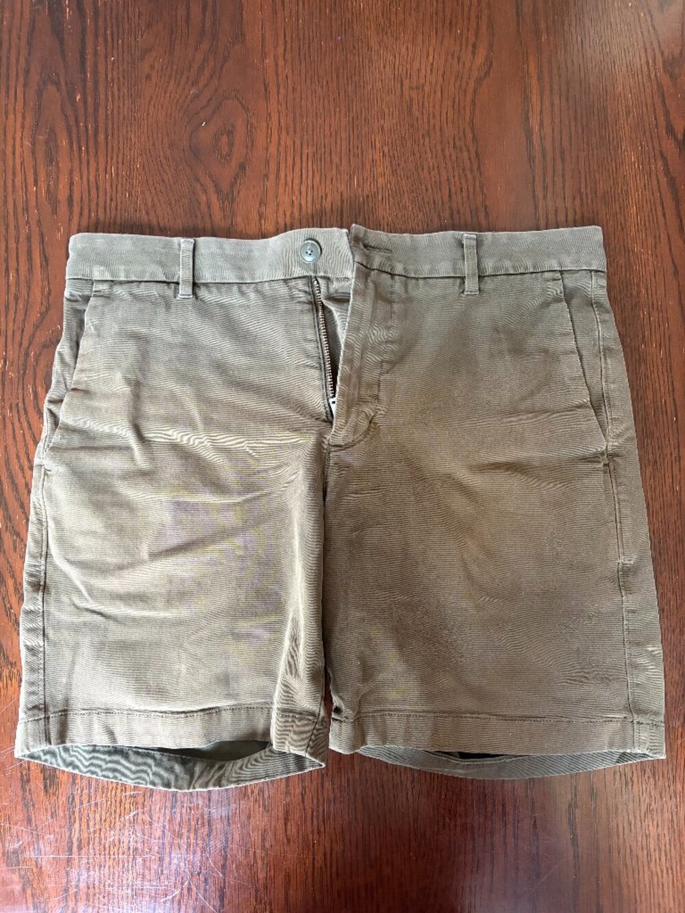 Everlane 7 Performance Chino Shorts Dark Forest Men’s 32"